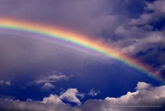 Blue Sky Rainbow Globe - 2053 Monarch Custom Glass