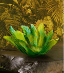 Bornéo Bowl by Emilio Robba 375 ex Daum - Crystal House