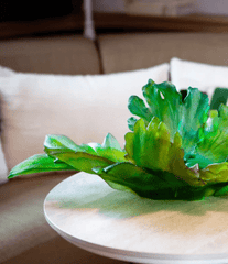 Bornéo Magnum Centerpiece by Emilio Robba 225 ex Daum - Crystal House