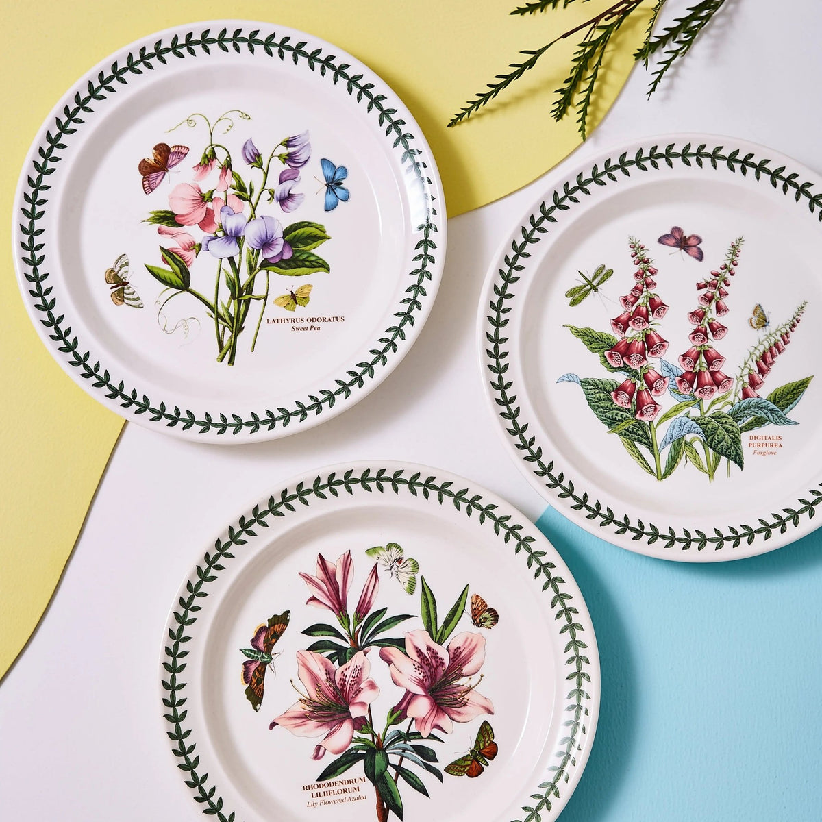 Botanic Garden -  Classic Dinnerware Dinner Plate Portmeirion