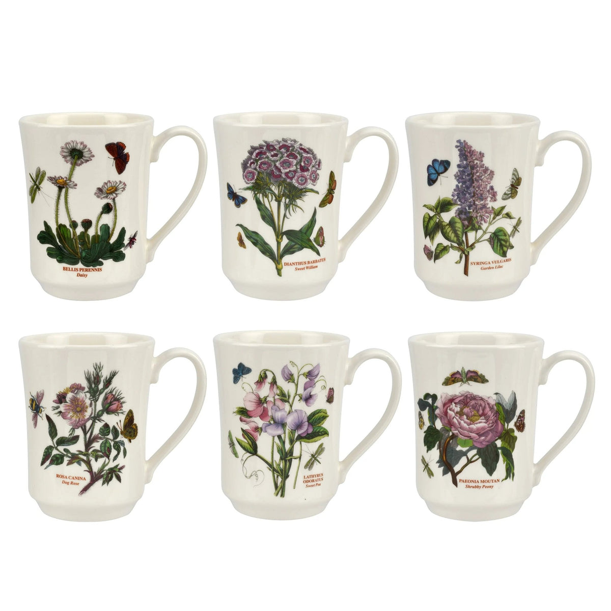 Botanic Garden -  Classic Dinnerware Flared Tankard Mug Portmeirion