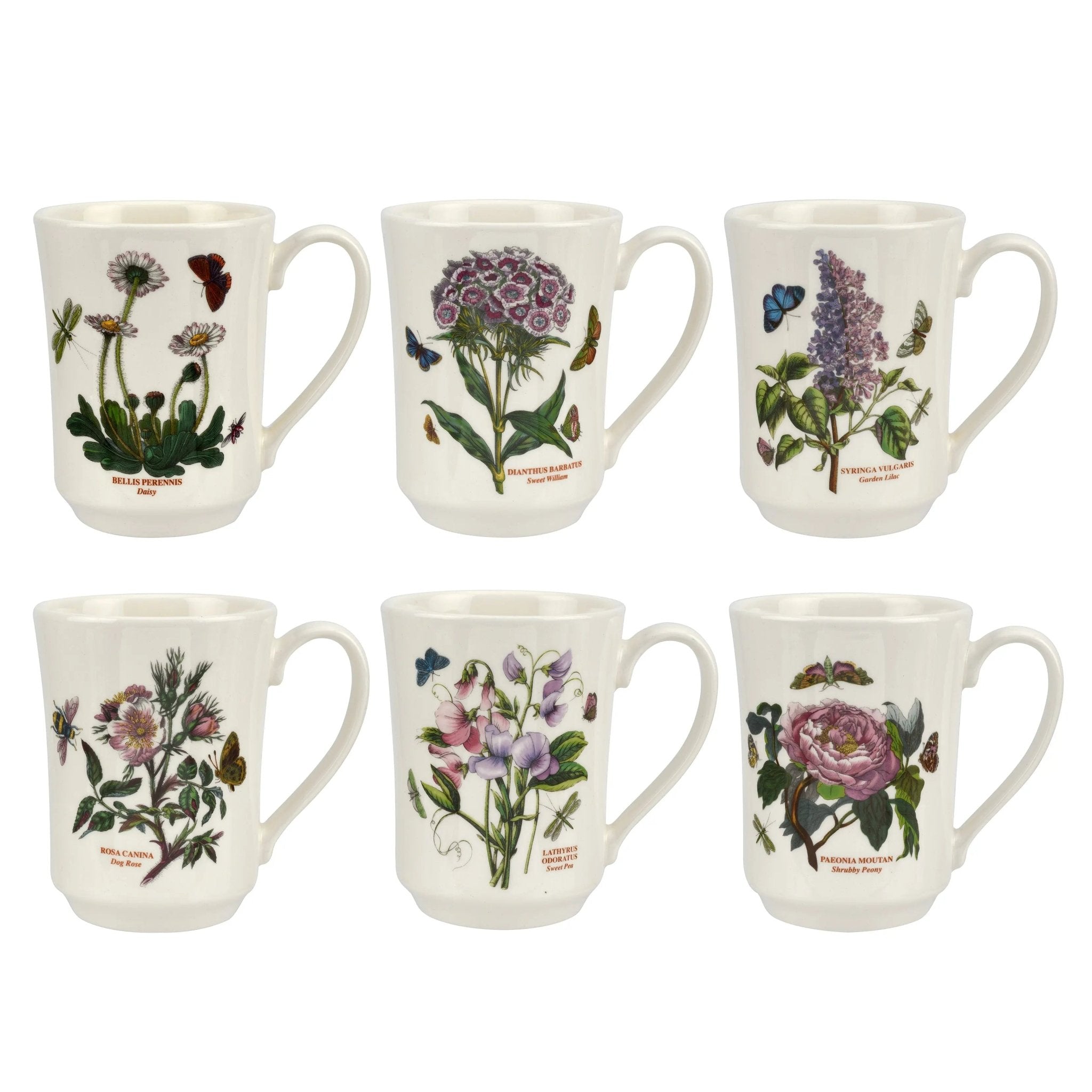 Botanic Garden - Classic Dinnerware Flared Tankard Mug Portmeirion