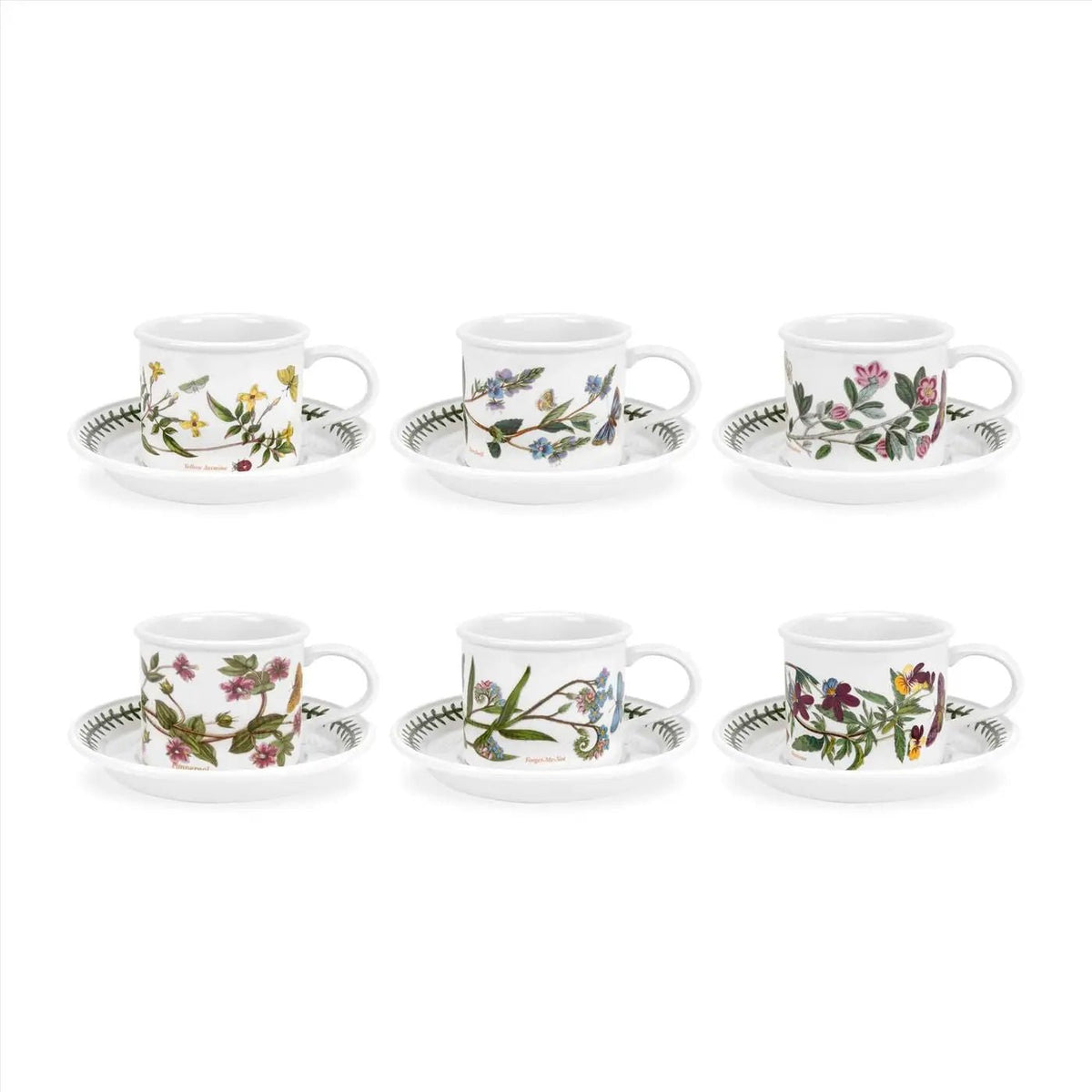Botanic Garden -  Classic Dinnerware Teacup & Saucer (D) Portmeirion