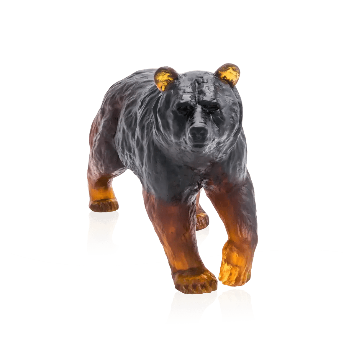 Brown Bear Daum