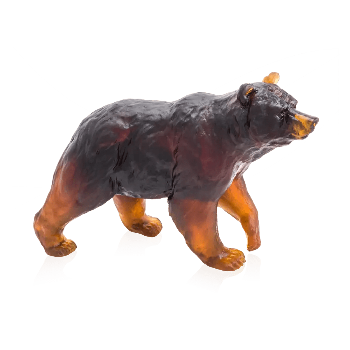 Brown Bear Daum