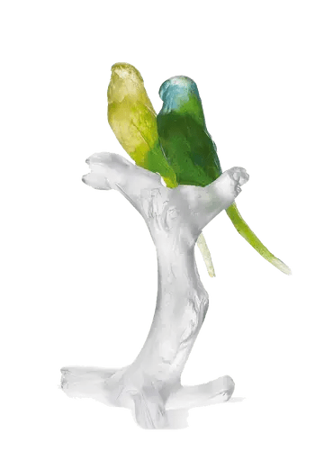 Budgerigars Bird Couple on Branch Daum