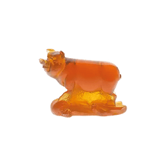 Chinese horoscope pig amber Daum