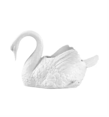 CISNES Vista Alegre