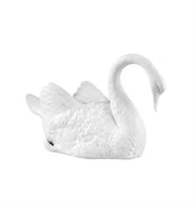 CISNES Vista Alegre