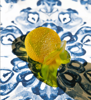 Citrus Decorative Lemon Daum - Crystal House