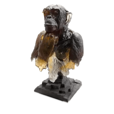 Cogito by Isabelle Carabantes 50 ex Daum