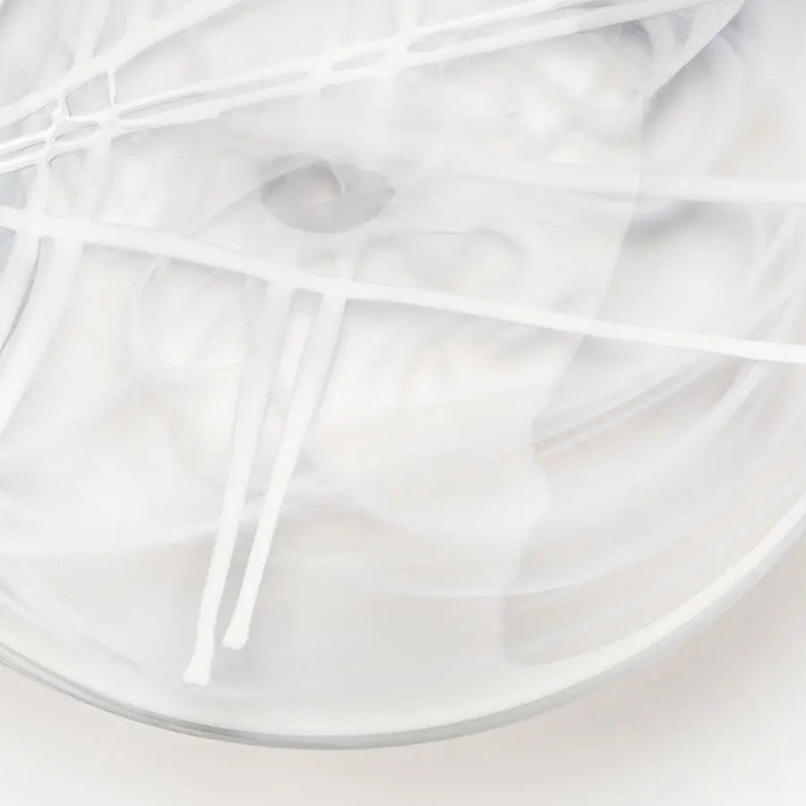 Contrast Dish White/White Kosta Boda