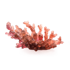 Coral Sea Amber Red Medium Bowl Daum