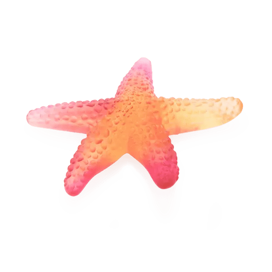 Coral Sea Amber Red Starfish Daum