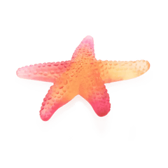 Coral Sea Amber Red Starfish Daum