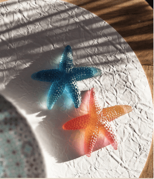 Coral Sea Amber Red Starfish Daum - Crystal House