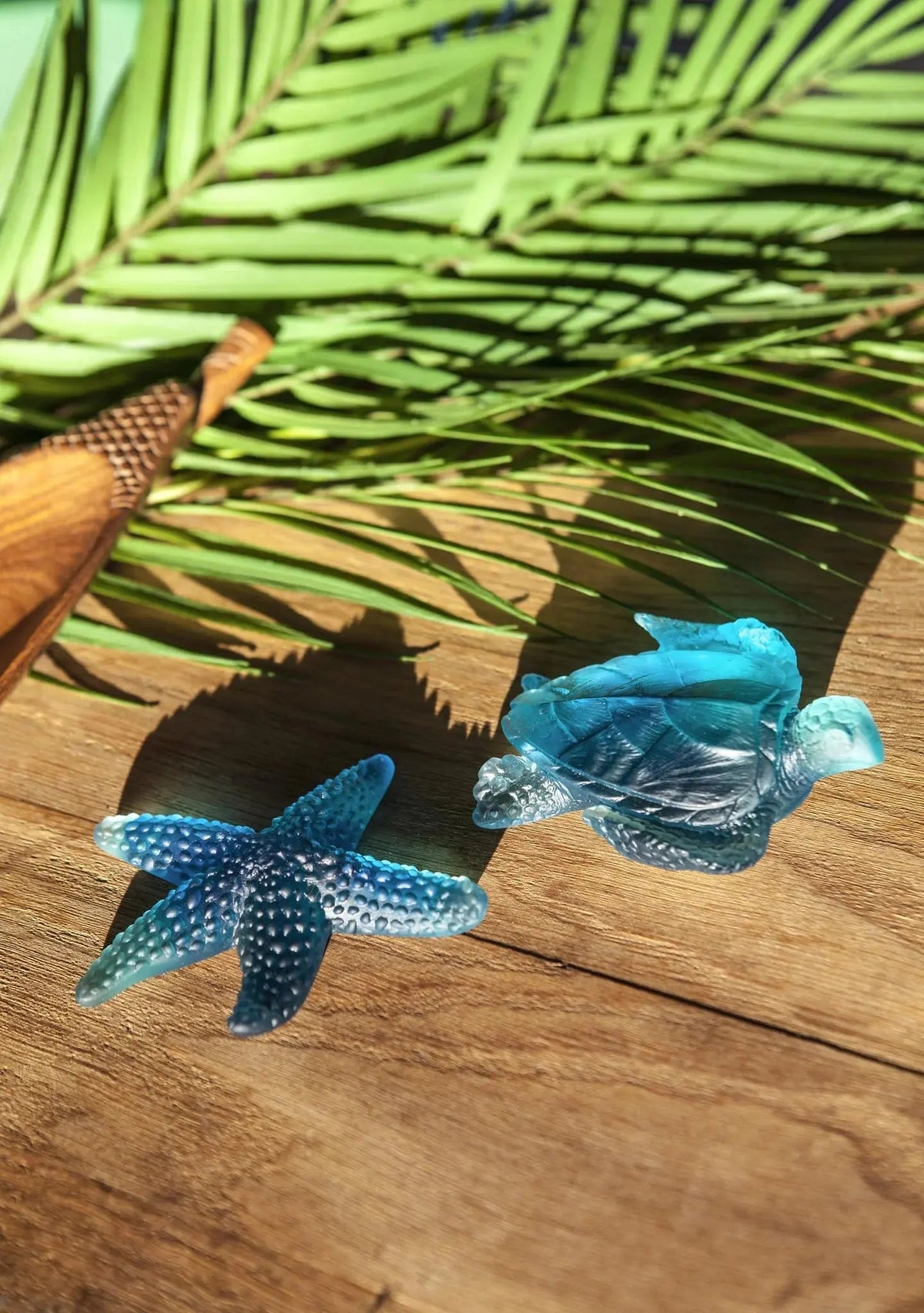 Coral Sea Blue Medium Sea Turtle Daum