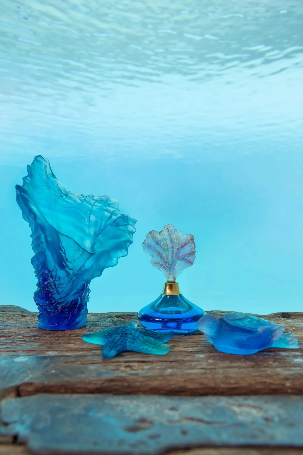 Coral Sea Blue Pink Medium Sea Turtle Daum