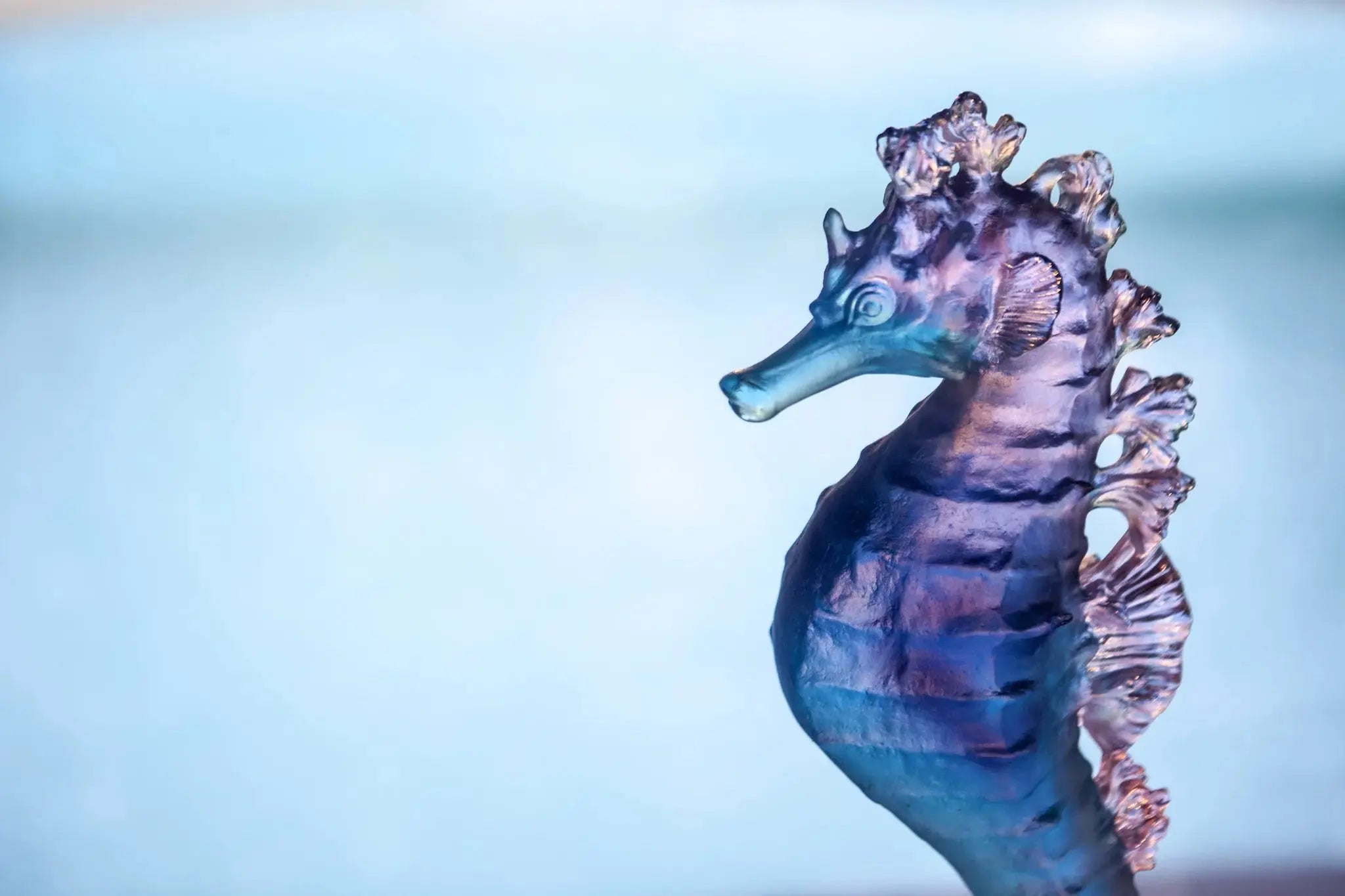 Coral Sea Blue Pink Seahorse Daum