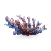 Coral Sea Blue Red Medium Bowl Daum