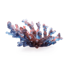 Coral Sea Blue Red Medium Bowl Daum
