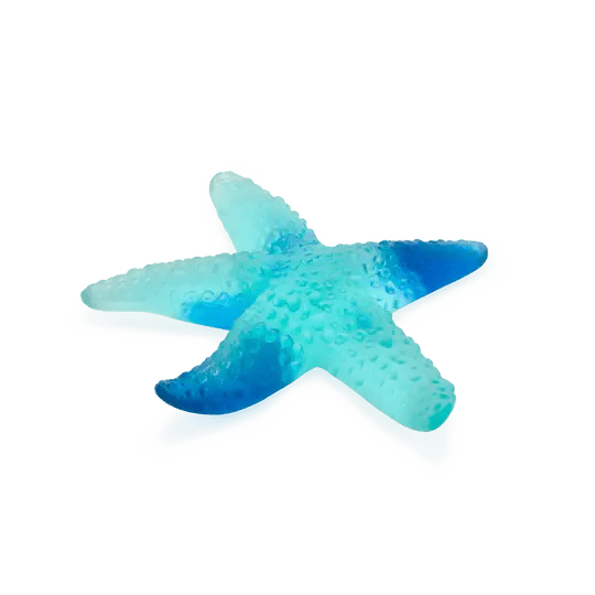 Coral Sea Blue Starfish Daum