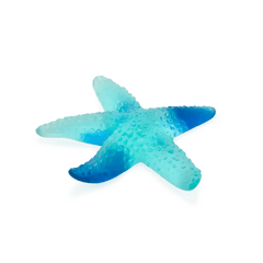 Coral Sea Blue Starfish Daum