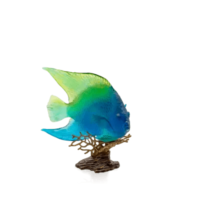 Coral Sea Blue Yellow Royal Angelfish Daum