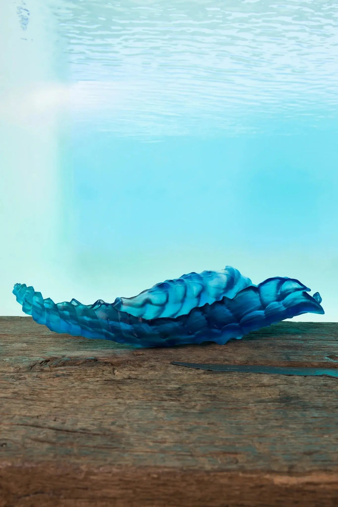 Coral Sea Centerpiece Daum