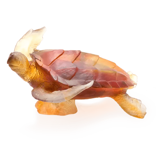 Coral Sea Large Amber Grey Sea Turtle Daum