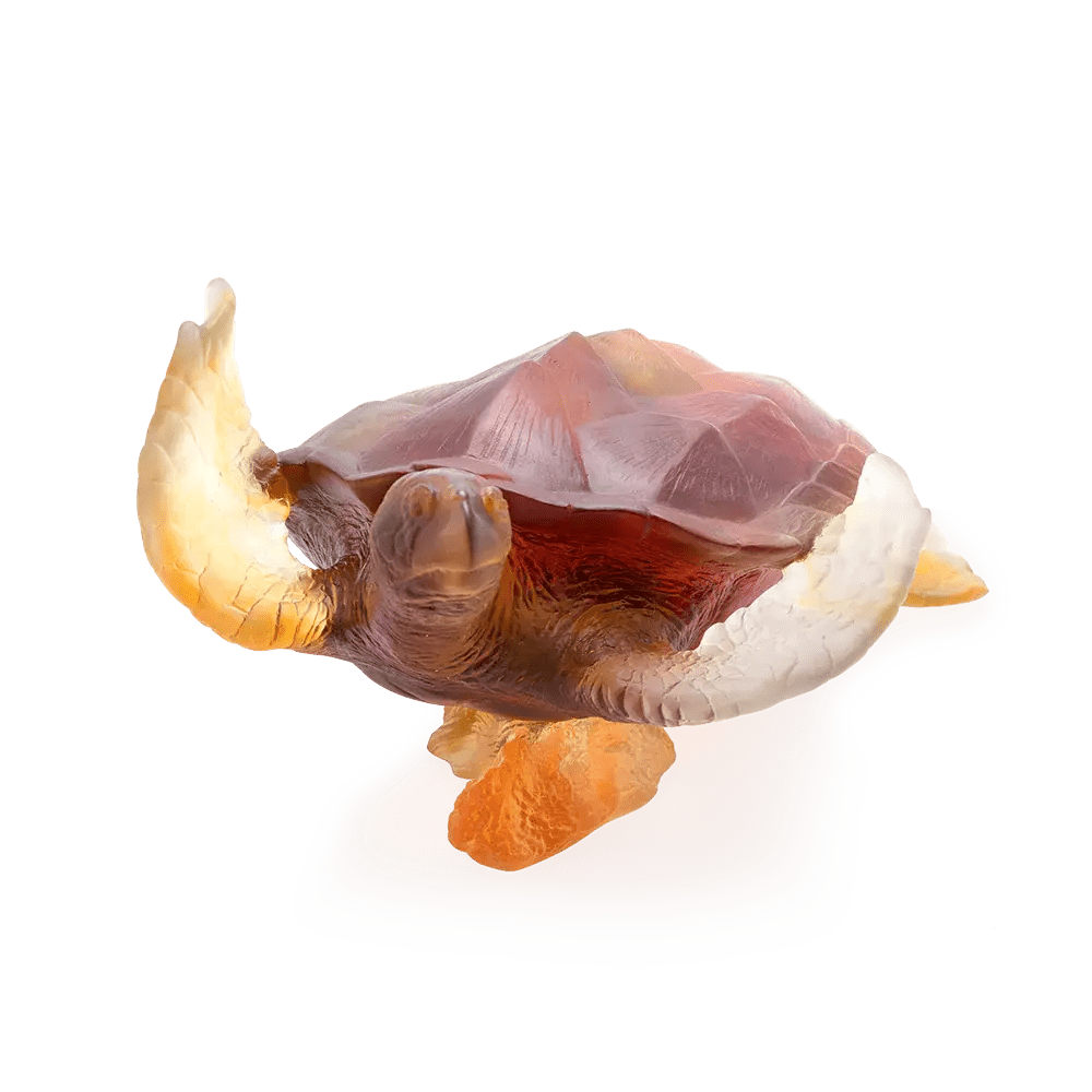 Coral Sea Large Amber Grey Sea Turtle Daum