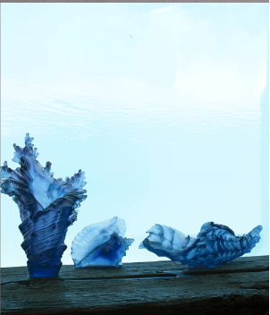 Coral Sea Large Conch Shell Daum - Crystal House