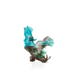 Coral Sea The Dance Of The Fighters Daum