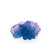 Decorative Flower Sweet Garden Daum
