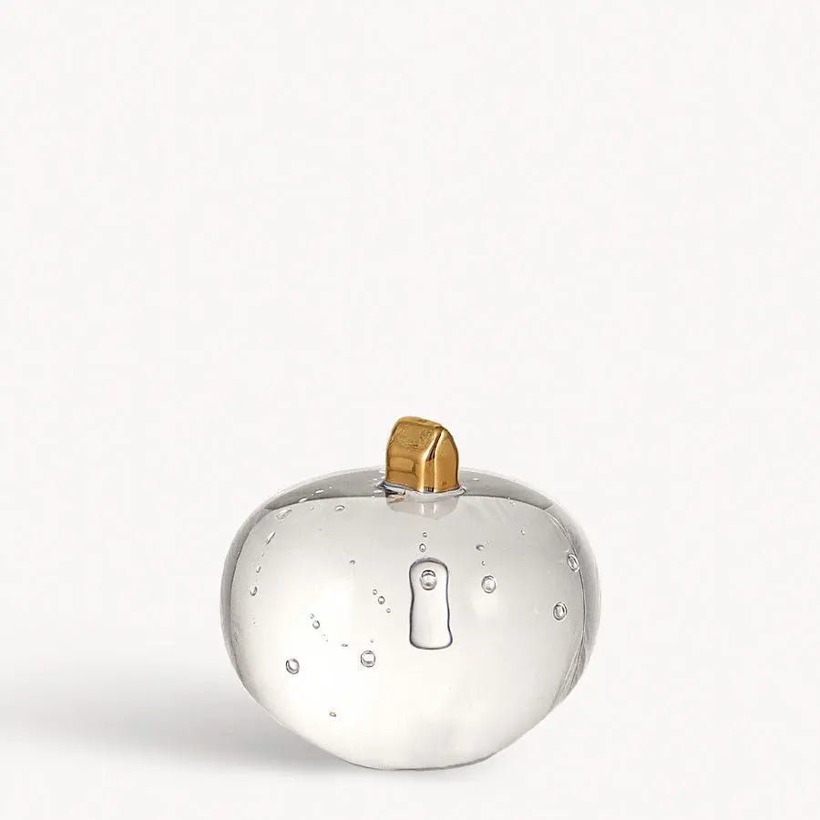 Earth Stellar Small Kosta Boda