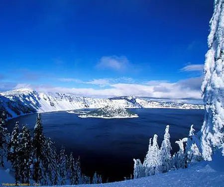 Electric Blue Athena Vase - 1909 Monarch Custom Glass