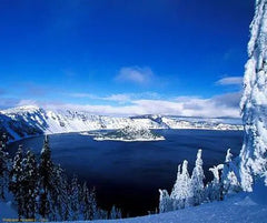 Electric Blue Athena Vase - 1909 Monarch Custom Glass