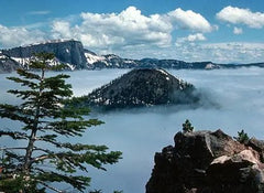 Electric Blue Athena Vase - 1909 Monarch Custom Glass