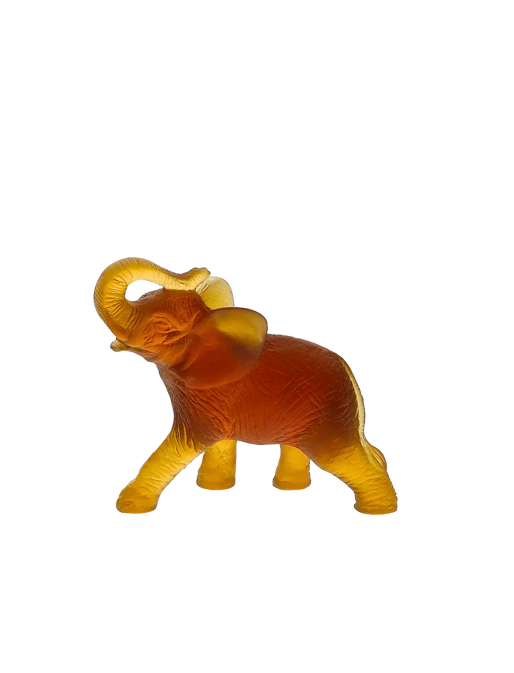 Elephant Daum