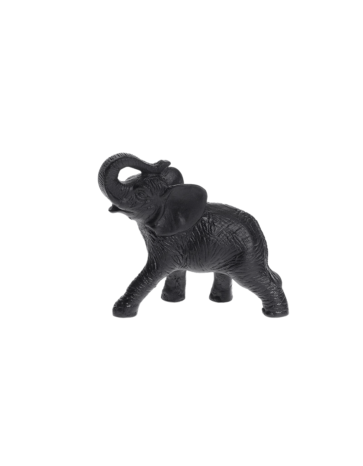 Elephant Daum
