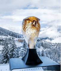 Falcon Head by Madelaine Van der Knoop 375ex Daum - Crystal House