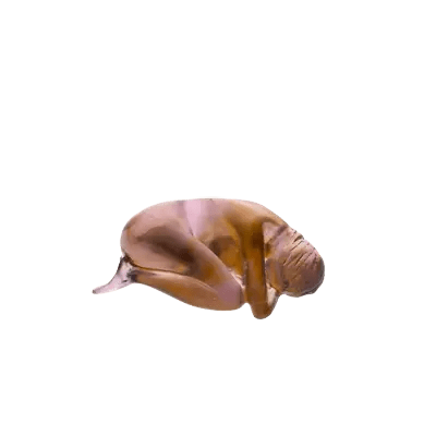 First Love by Sylvie Mangaud Daum