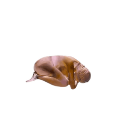 First Love by Sylvie Mangaud Daum