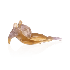 Intimacy of Natacha Mondon Daum