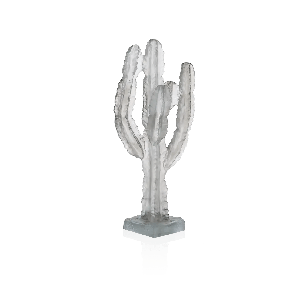 Jardin de Cactus Grey Cactus by Emilio Robba Daum