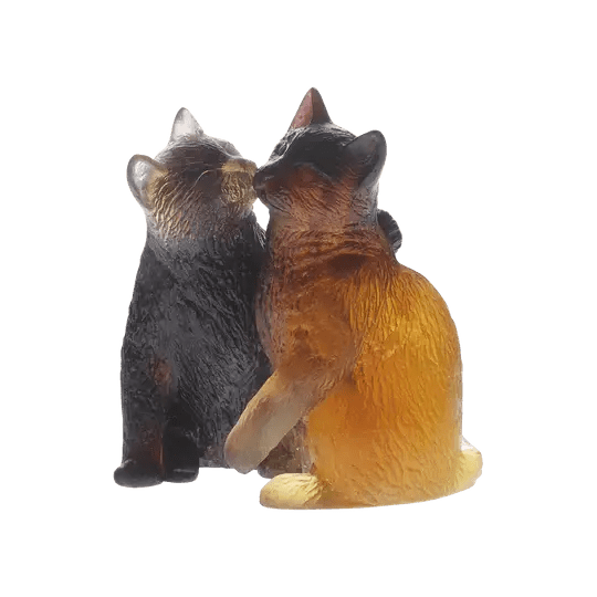 Kittens Daum