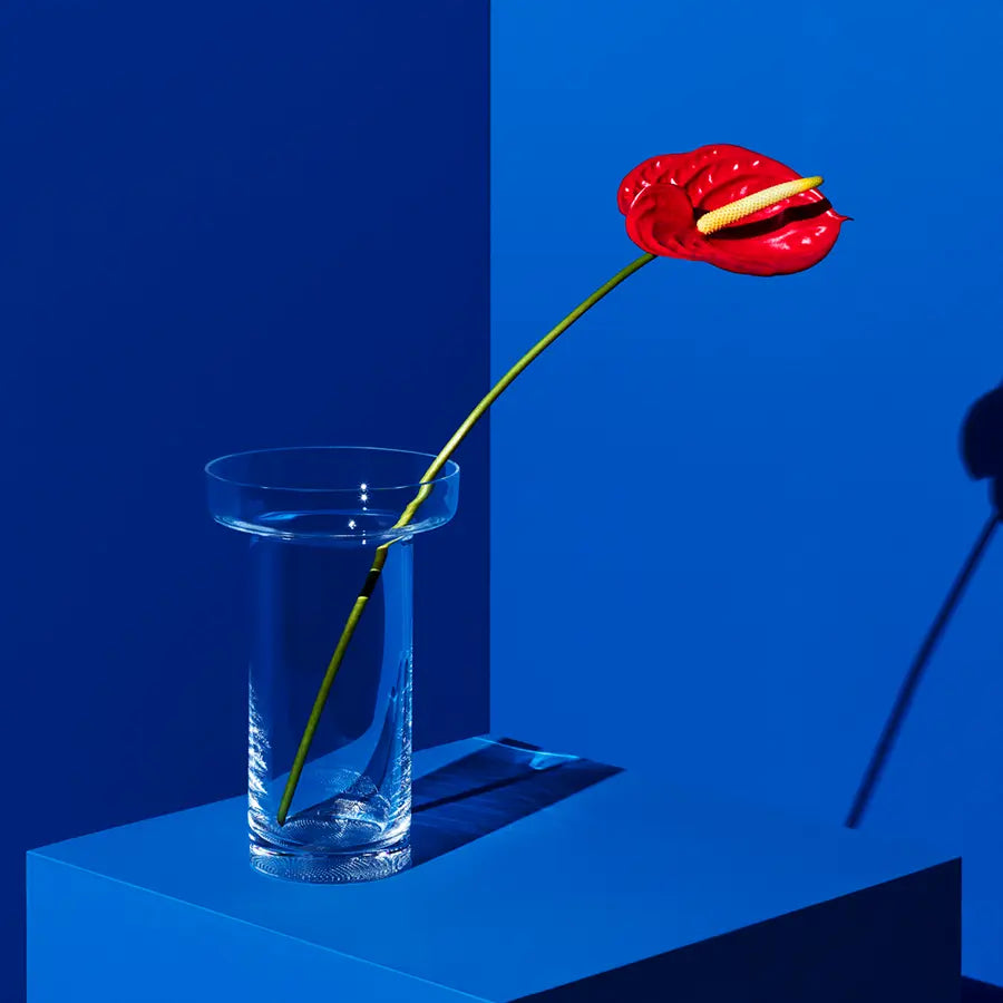 Limelight Vase Kosta Boda