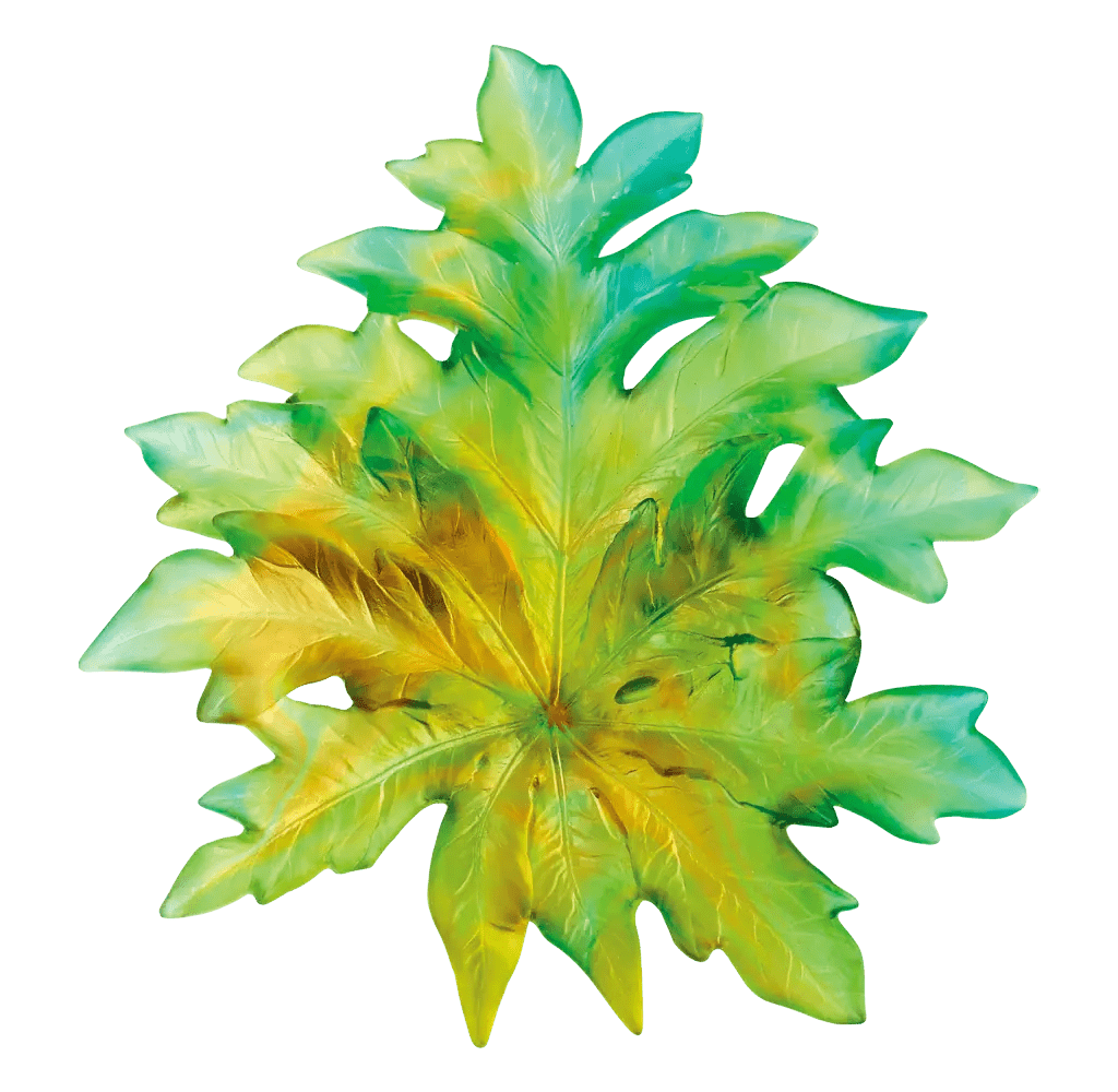 Large Bornéo Wall Leaf by Emilio Robba Daum