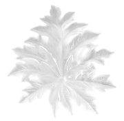 Large Bornéo Wall Leaf by Emilio Robba Daum