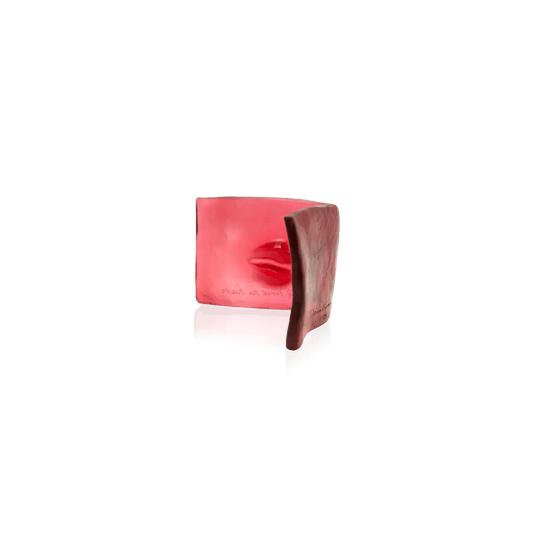 Le livre du baiser by Dominique Vial Daum